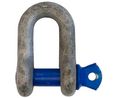 Shackle, D, Screw Pin, 2t, Alloy Steel